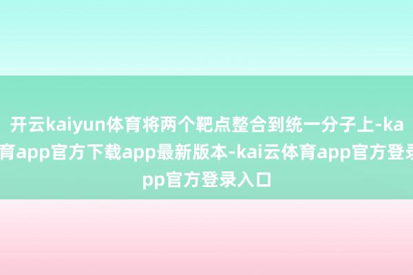 开云kaiyun体育将两个靶点整合到统一分子上-kai云体育app官方下载app最新版本-kai云体育app官方登录入口
