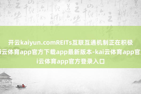 开云kaiyun.comREITs互联互通机制正在积极鞭策中-kai云体育app官方下载app最新版本-kai云体育app官方登录入口