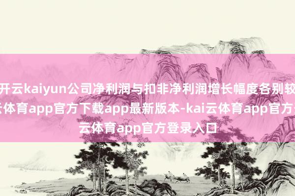 开云kaiyun公司净利润与扣非净利润增长幅度各别较大-kai云体育app官方下载app最新版本-kai云体育app官方登录入口